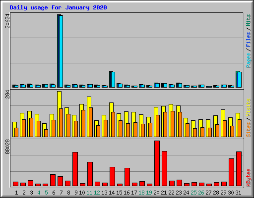 Daily usage for January 2020