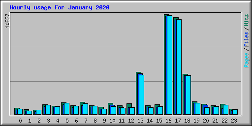 Hourly usage for January 2020